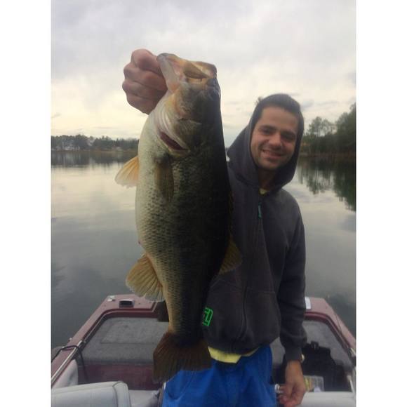 Meet your Posher, Christopher - Picture 1 of 1